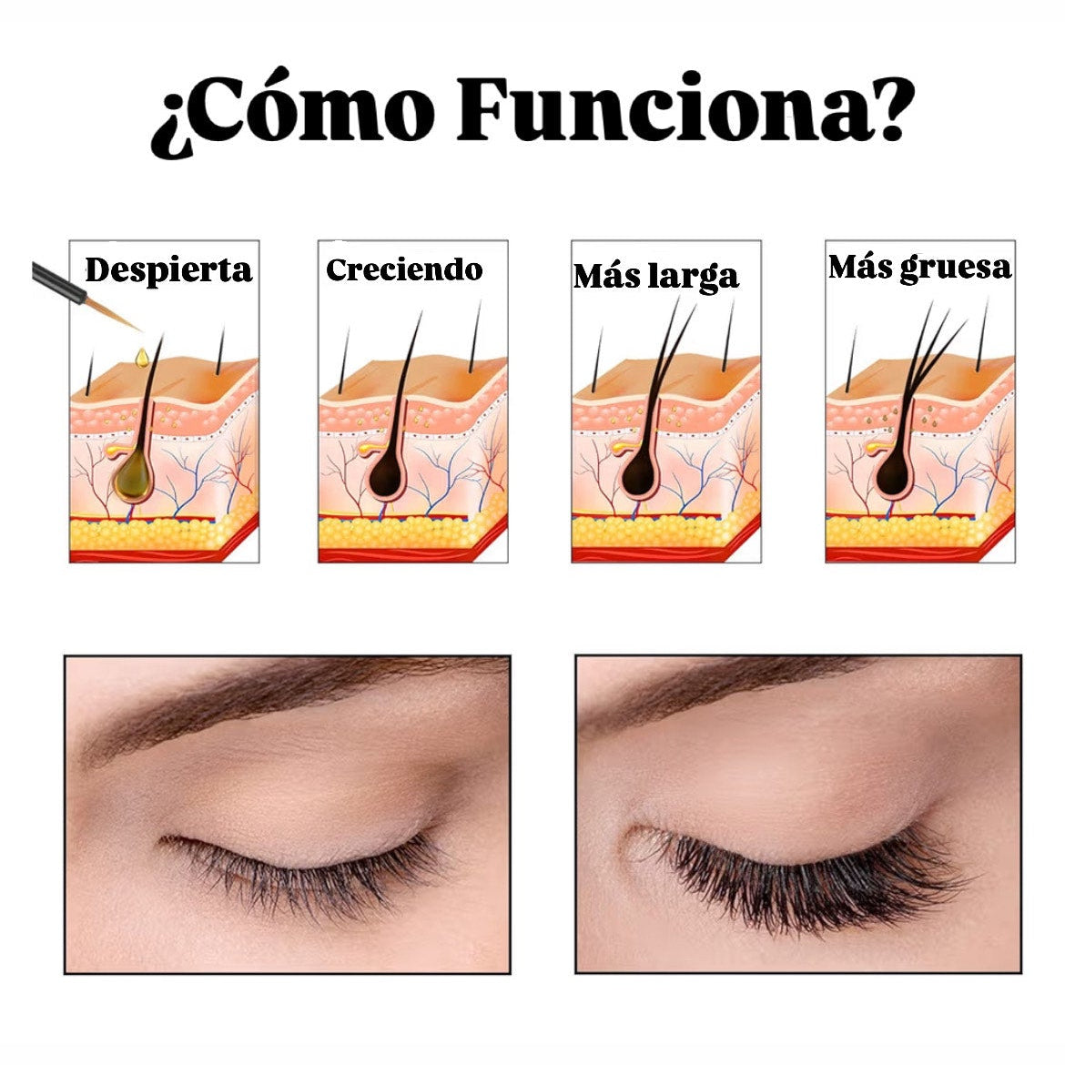 ✨ Sérum de Crecimiento para Pestañas + Labial GRATIS 💋