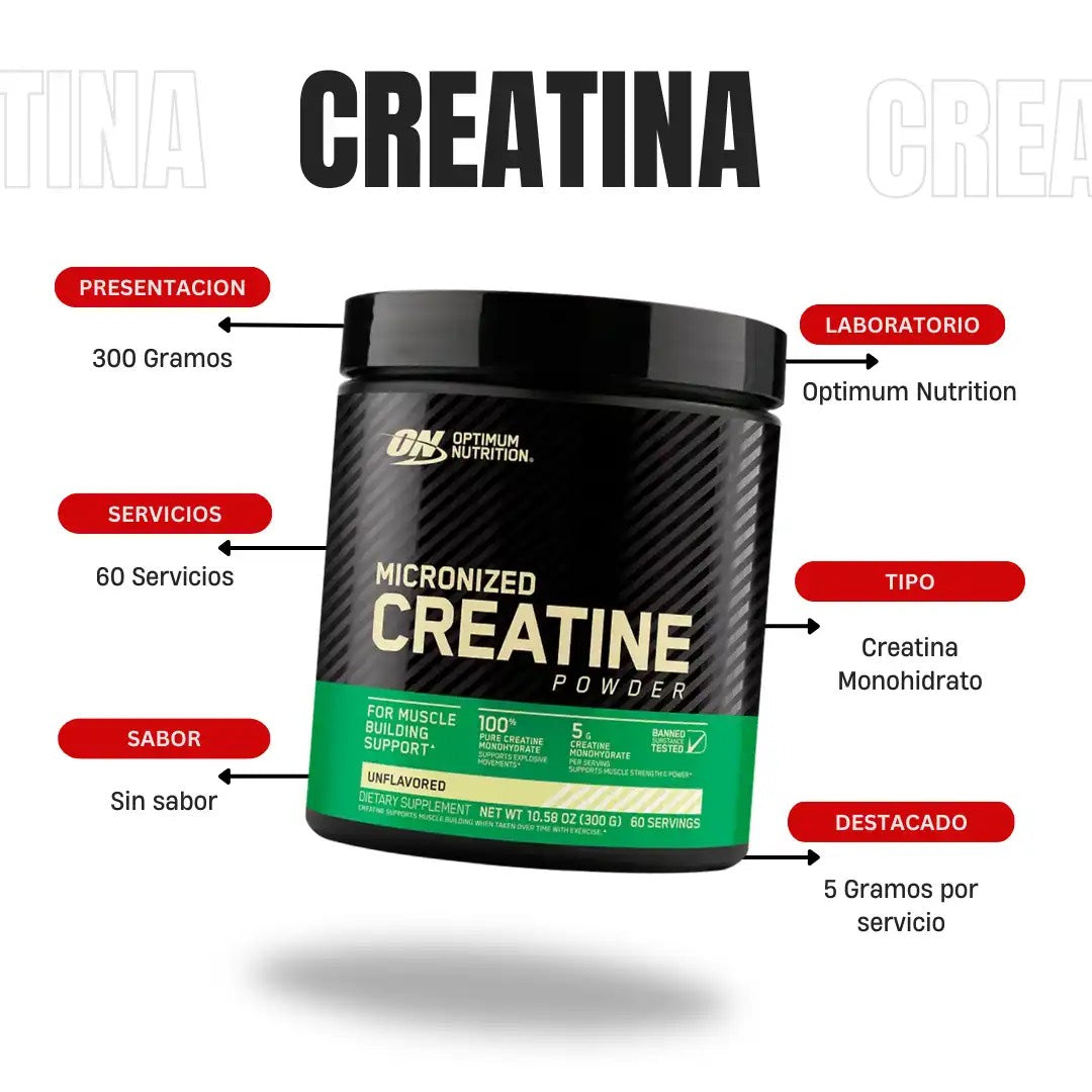 Creatina micronizada en polvo, Sin sabor, 300 g (10,58 oz)