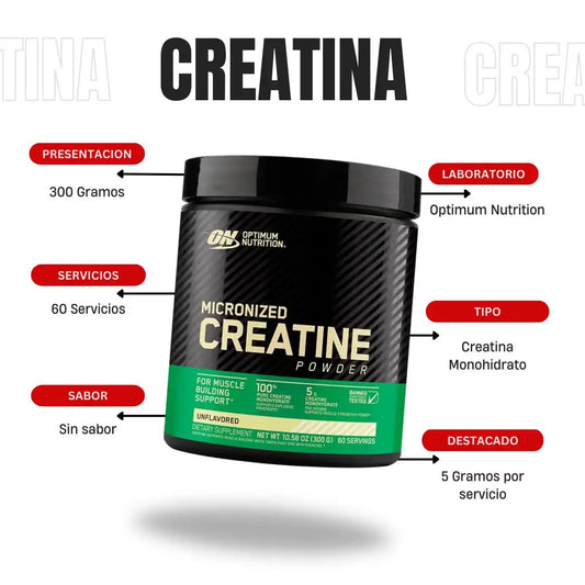 Creatina micronizada en polvo, Sin sabor, 300 g (10,58 oz)